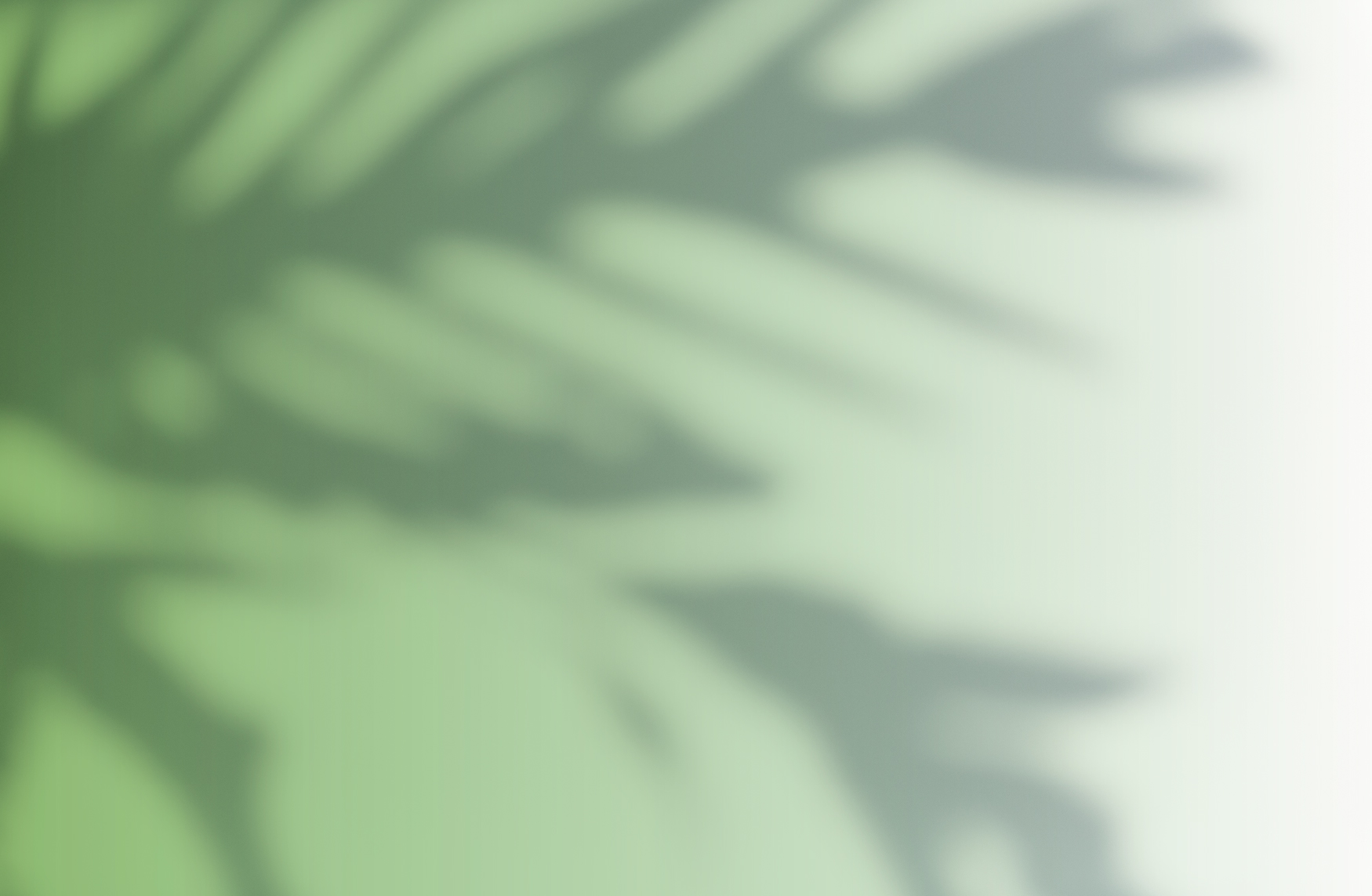 //cuasar.itam.mx/sites/default/files/revslider/image/fondo-itam-news-3.jpg